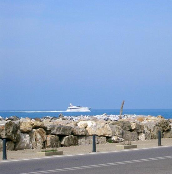 Manzi Marina Di Pisa