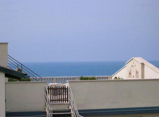 Manzi Hotel Marina Di Pisa